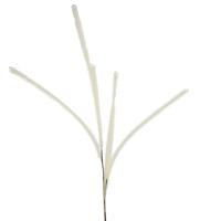 Countryfield kunsttak met 6 pluimen crème 112 cm | 24 stuks - thumbnail