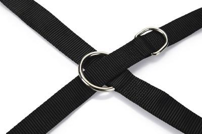 BZ NYL DRESSUURL,DUB,GEST,200X25 ZW