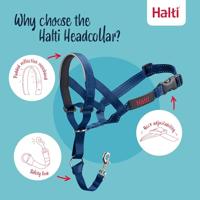 Muilkorf Company of Animals COBALT Blauw Maat 1 - thumbnail