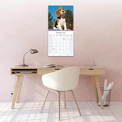 Beagle Kalender 2026 Beagle Kalender 2026