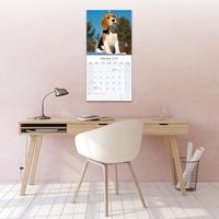 Beagle Kalender 2026 - thumbnail