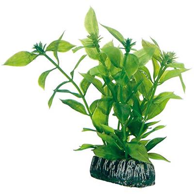 Plantasy set 4 decoratie planten Hobby Smulders - Smulders Plantasy set 4 decoratie planten Hobby Smulders - Smulders