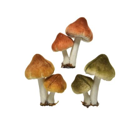 Kersthanger paddenstoel op clip 9 cm mosterd