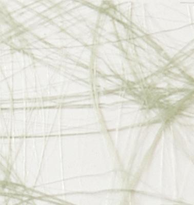 Vaessen Creative • sizoweb 5mx30cm in koker mosgroen