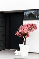 elho pure straight round 65 Binnen/buiten Plantenpot Vrijstaand Lineaire lagedichtheidpolyetheen (LLDPE) Wit - thumbnail