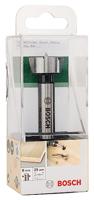 Bosch Accessories 2609255287 Forstnerboor 25 mm Gezamenlijke lengte 90 mm Cilinderschacht 1 stuk(s) - thumbnail