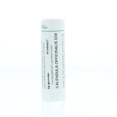Homeoden Heel Calendula officinalis D30 6 Gram Homeoden Heel Calendula officinalis D30 6 Gram