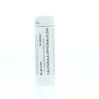 Homeoden Heel Calendula officinalis D30 6 Gram - thumbnail