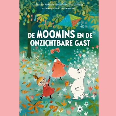 De Moomins en de onzichtbare gast