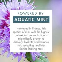 Klorane Shampooing sec Menthe aquatique BIO 150 ml - thumbnail