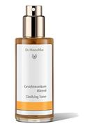 Dr. Hauschka Facial Toner 100 ml - thumbnail