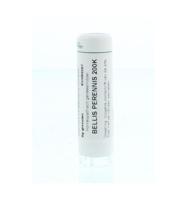 Homeoden Heel Bellis perennis 200K 6 Gram - thumbnail