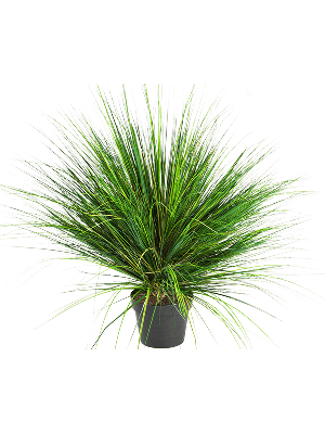 Kunstplant Grass onion L