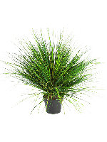Kunstplant Grass onion L - thumbnail