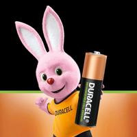 Duracell PreCharged Oplaadbare AA batterij (penlite) NiMH 1.2 V 2 stuk(s) - thumbnail
