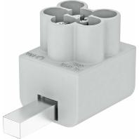 OBO Bettermann AS 3x16 Montage-accessoires 5 stuk(s) - thumbnail