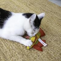 Yeowww! Mo Betta Fish Red - thumbnail