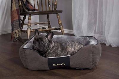 Scruffs Chester Box Bed hondenmand Graphite (grijs) XL