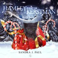 Hamley zoekt de kerstman - thumbnail