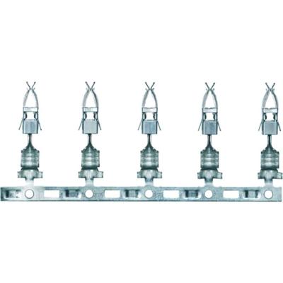 Weidmüller 1893990000 Krimpcontact 4.15 mm Crimpen Zilver 500 stuk(s) Weidmüller 1893990000 Krimpcontact 4.15 mm Crimpen Zilver 500 stuk(s)