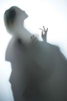 Colorama Translum 1,37x5 4m Heavy 2 Stop - thumbnail