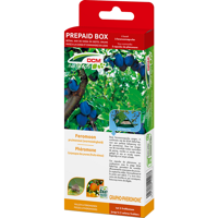 Feromoon/lokstof pruimenmot 5 bomen DCM Natuurlijke Vijanden - Dcm natuurlijke vijanden - thumbnail