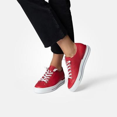 Paul Green 4081 - alle