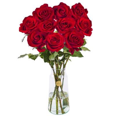 10 rode rozen - XL rozen - EverRed