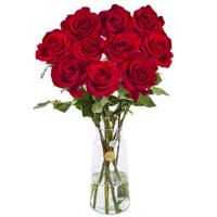 10 rode rozen - XL rozen - EverRed - thumbnail