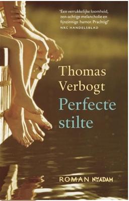 Perfecte stilte - Thomas Verbogt - ebook