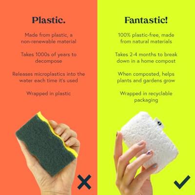 Seep Schwamm mit Scheuerschwamm kompostierbar 4 Stück