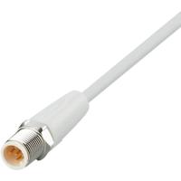 ifm Electronic EVF073 Verbindingskabel Aantal polen (sensoren): 4 Stekker, recht 10 m 1 stuk(s) - thumbnail