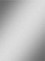 Spiegel Wiesbaden Rechthoek 60x40 cm 5mm - thumbnail