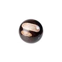 Fossiel Hout Edelsteen Bol (17 cm) - thumbnail