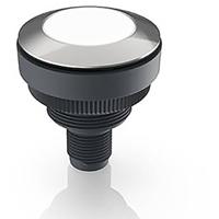 RAFI RAMO 30 Signaallamp Wit 1 stuk(s) - thumbnail