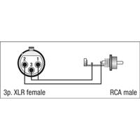 DAP FLA31 XLR female naar RCA male adapter - thumbnail