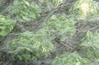 Meister Dekzeil Voor De Tuin 10X1.5M Wit - WU9961310