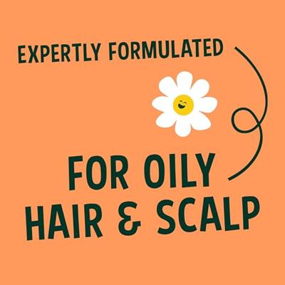 Faith In Nature Dragon Fruit Conditioner