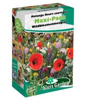 MaxiPack Wildbloemen incl kruiden 100 m² - thumbnail