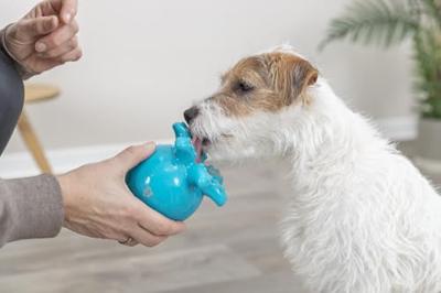 Hondenspeelgoed Trixie Snacks Hondenspeelgoed Trixie Snacks