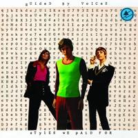 Styles We Paid For - LP (0767870665912) - thumbnail