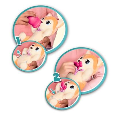 Baby Paws Yummy Shiba Inu Baby Paws Yummy Shiba Inu