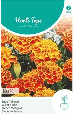Zaden Tagetes lage Afrikaan Bolero Hortitops - Hortitops