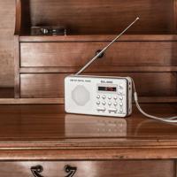 Radio ELBE - thumbnail