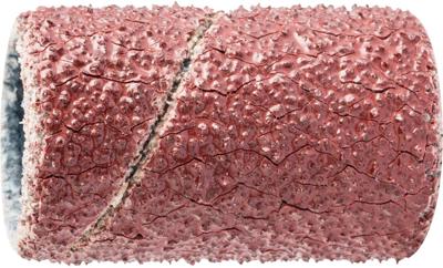 PFERD TOOLS GSB 1020 A 60 42202106 Schuurhuls Korrelgrootte (num) 60 (Ø x h) 10 mm x 20 mm 100 stuk(s)