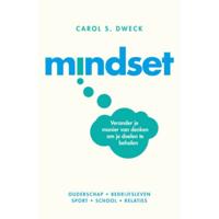 Mindset (Paperback) - thumbnail