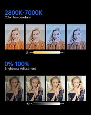 Sirui bi-color led spot lamp c60b