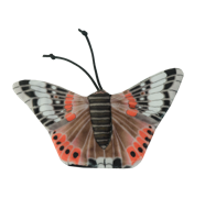 Wild Life Cat Red Admiral Butterfly (Admiraalvlinder) - thumbnail