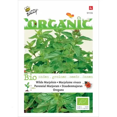Biologische Wilde Marjolein - Oregano