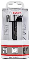 Bosch Accessories 2608577018 Forstnerboor 38 mm 1 stuk(s) - thumbnail